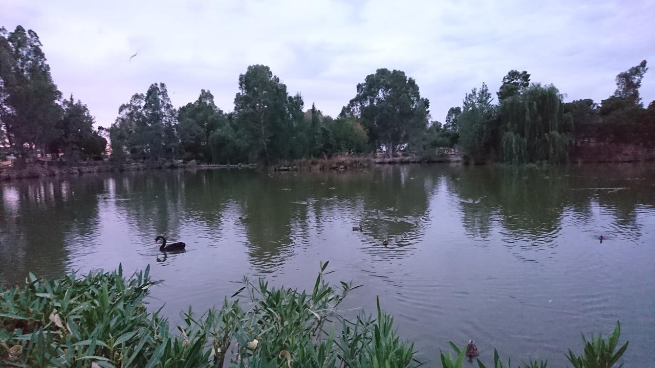 Hostal Restaurante Rufino Berlanga Екстер'єр фото